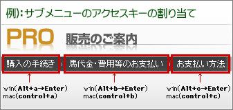 アクセスキーの割り当て